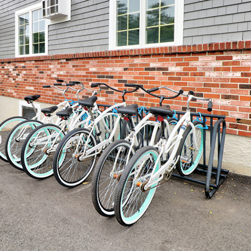 bicycles